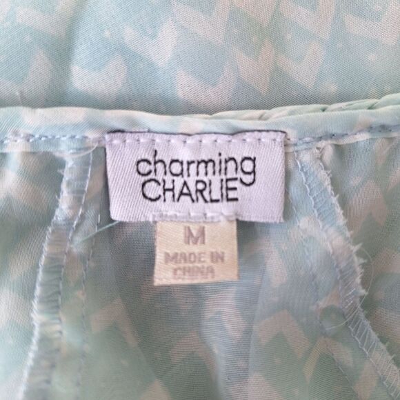Charming Charlie Sheer Ruffled Blouse with Flutter Sleeves Sz M - Picture 7 of 12